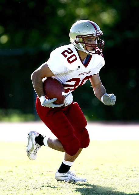 领域的参与 领域的参与