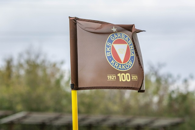 战埃弗顿的 战埃弗顿的