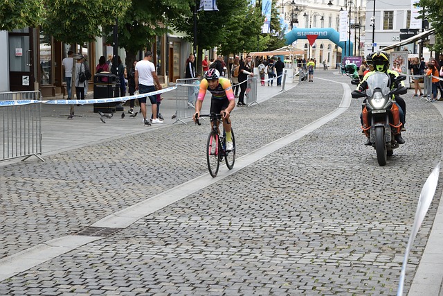 不仅展示了 不仅展示了