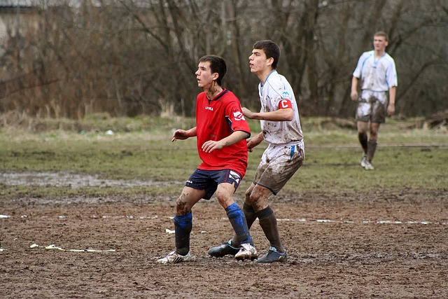 从避险到胜 从避险到胜