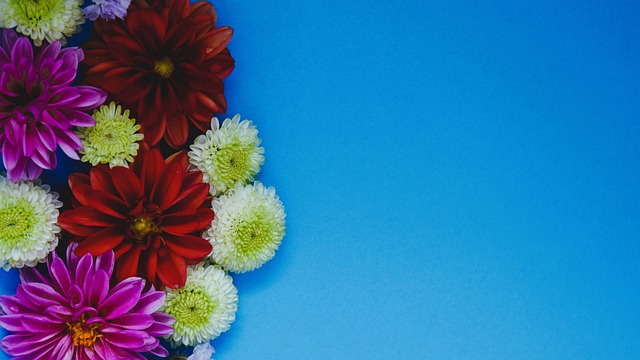 中场控制力 中场控制力