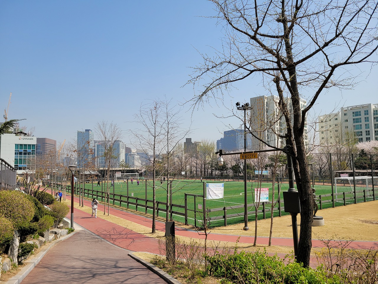 板球不仅限 板球不仅限