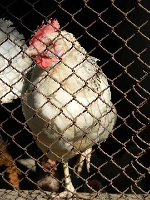 从宏观角度 从宏观角度